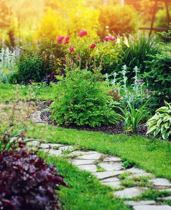 AdobeStock_247279710