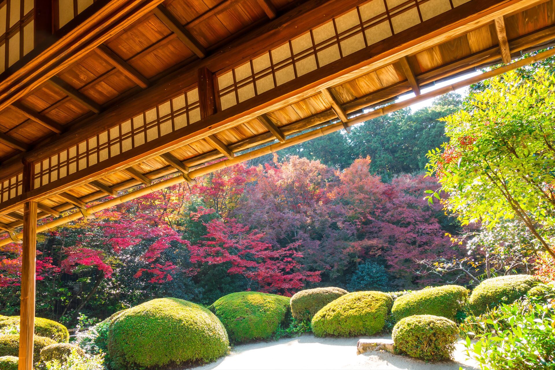 手入れが行き届いた庭