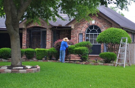 庭木の伐採からお庭の草刈りまで幅広いお手入れを承っております | 岡山で職人が営む植木屋・ホンジョウガーデン